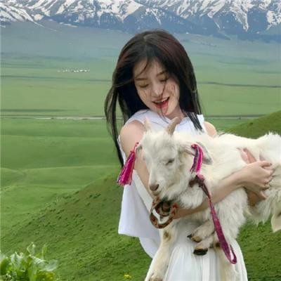 小太阳达芬妮海报